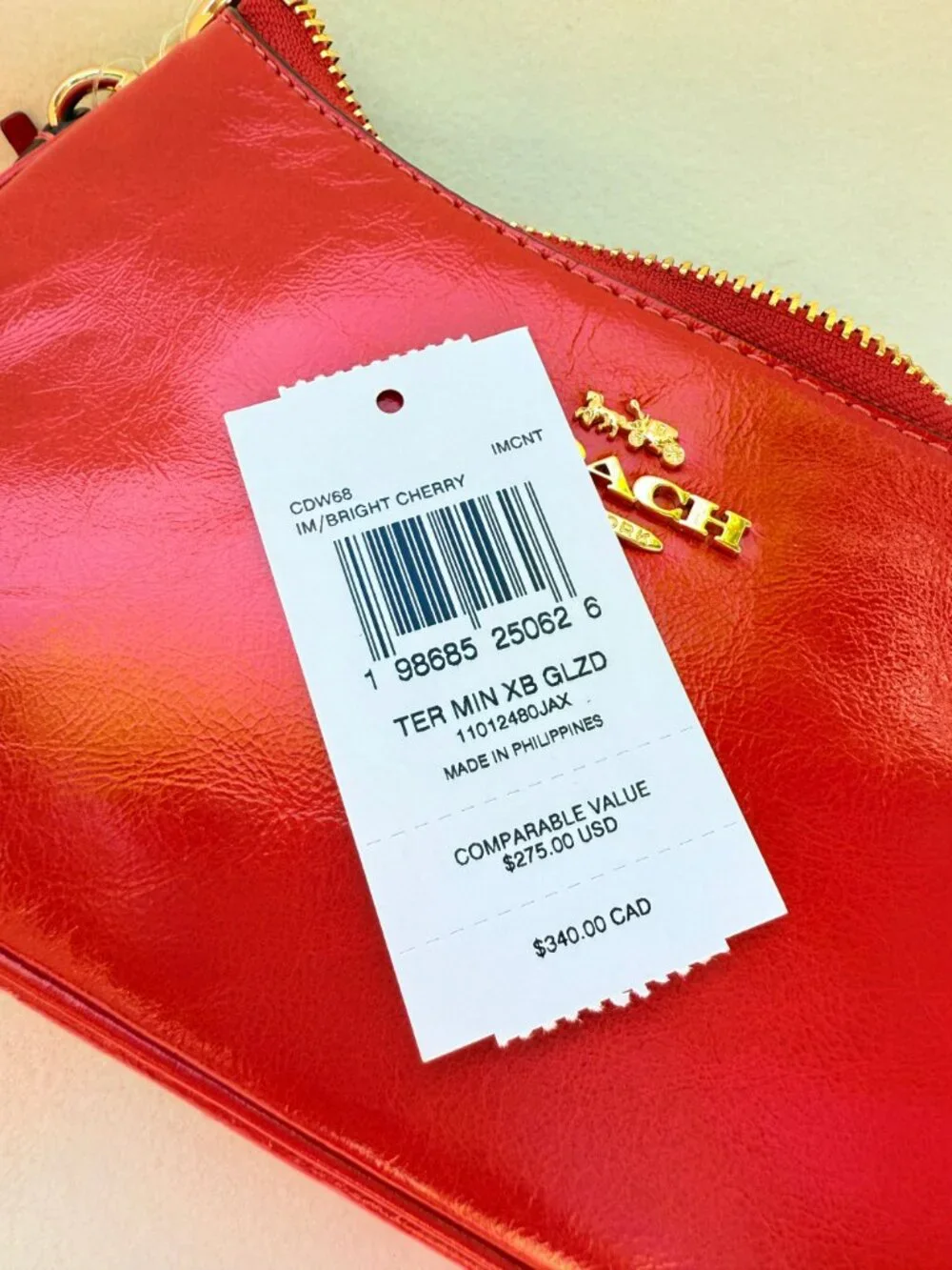coach Teri Mini Crossbody Bag With Bows cdw68